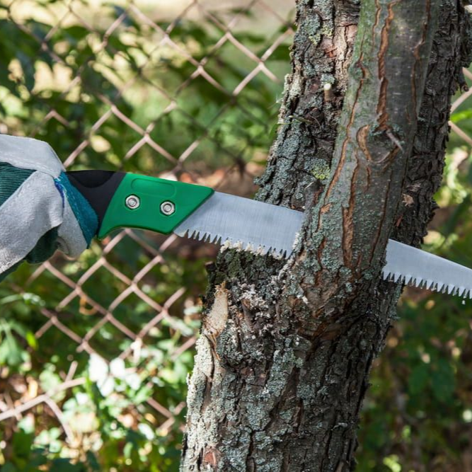 A Man Cutting a Branch Off a Tree — Mow & Mulch Lawn & Garden Maintenance In White Rock, QLD