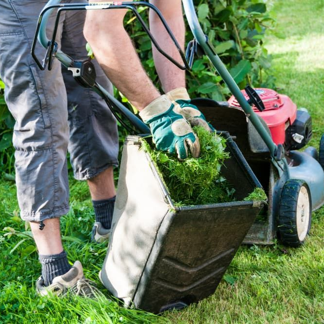 A Man Filling Up a Sack With Grass — Mow & Mulch Lawn & Garden Maintenance In White Rock, QLD