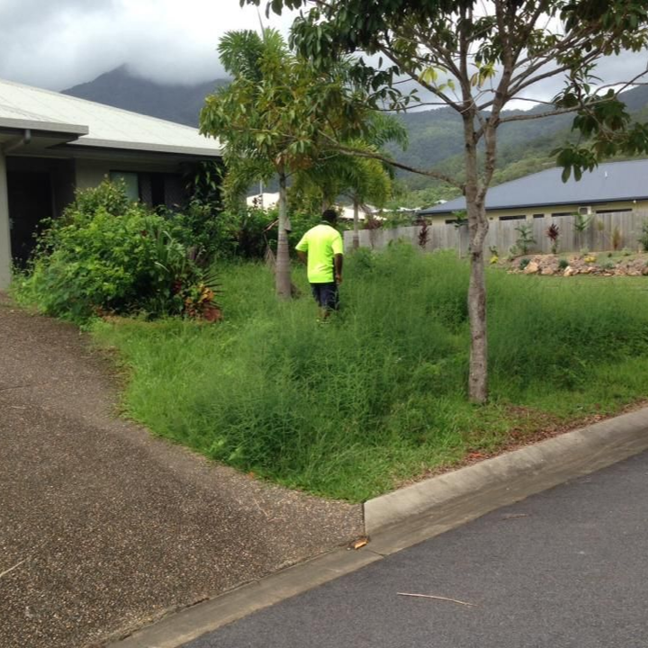 A Man Standing in the Middle of a Thick Patch of Grass— Mow & Mulch Lawn & Garden Maintenance In White Rock, QLD