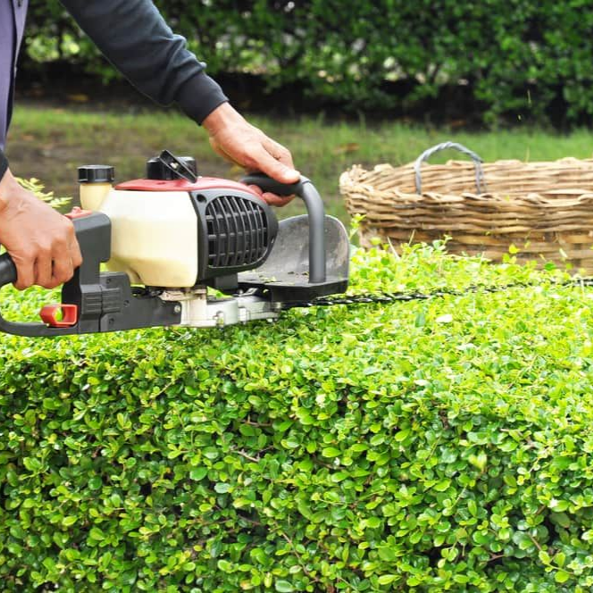 A Man Trimming Bushes For Landscaping — Mow & Mulch Lawn & Garden Maintenance In White Rock, QLD