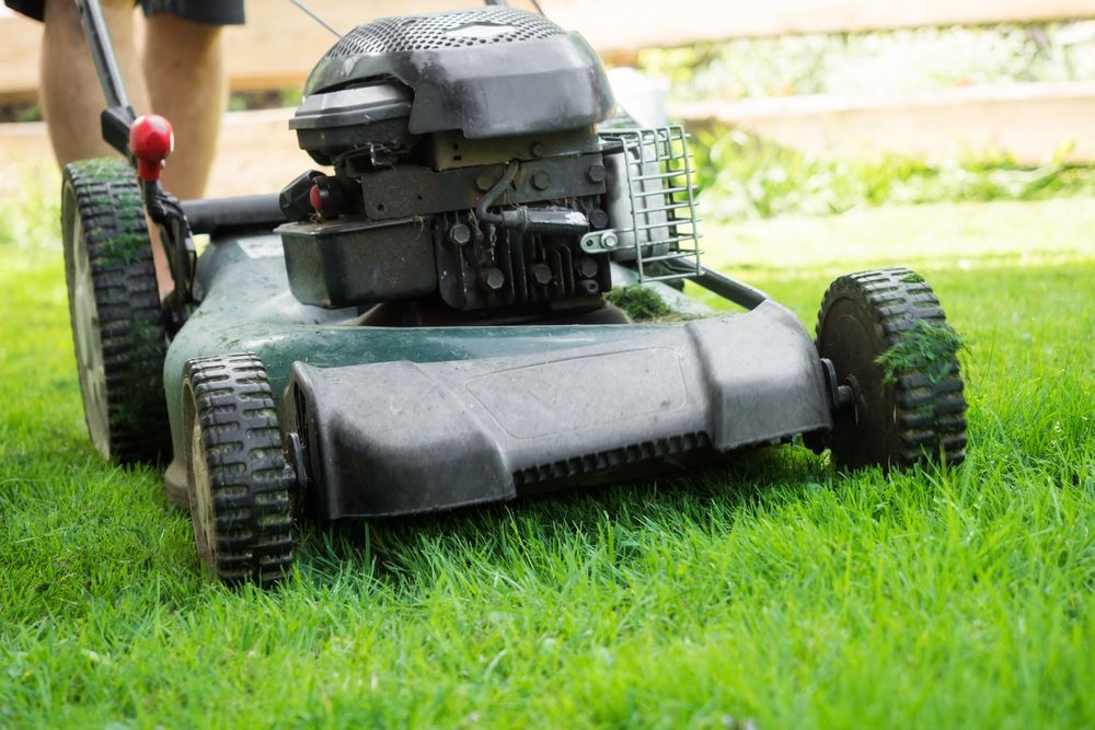 Person Mowing Green Lawn With a Lawnmower — Mow & Mulch Lawn & Garden Maintenance In White Rock, QLD