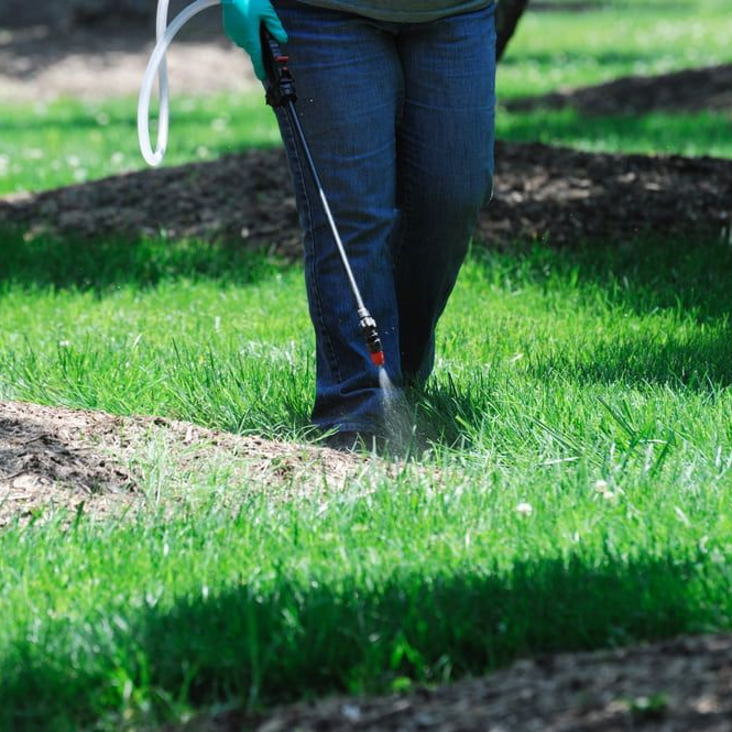 A Man Spraying Herbicide — Mow & Mulch Lawn & Garden Maintenance In White Rock, QLD