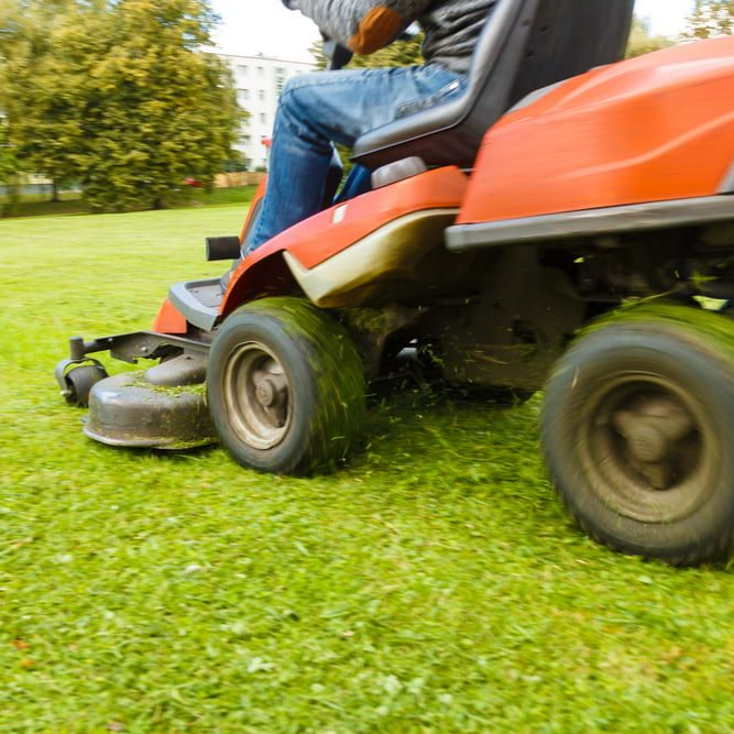 A Man Riding A Lawn Mower — Mow & Mulch Lawn & Garden Maintenance In White Rock, QLD