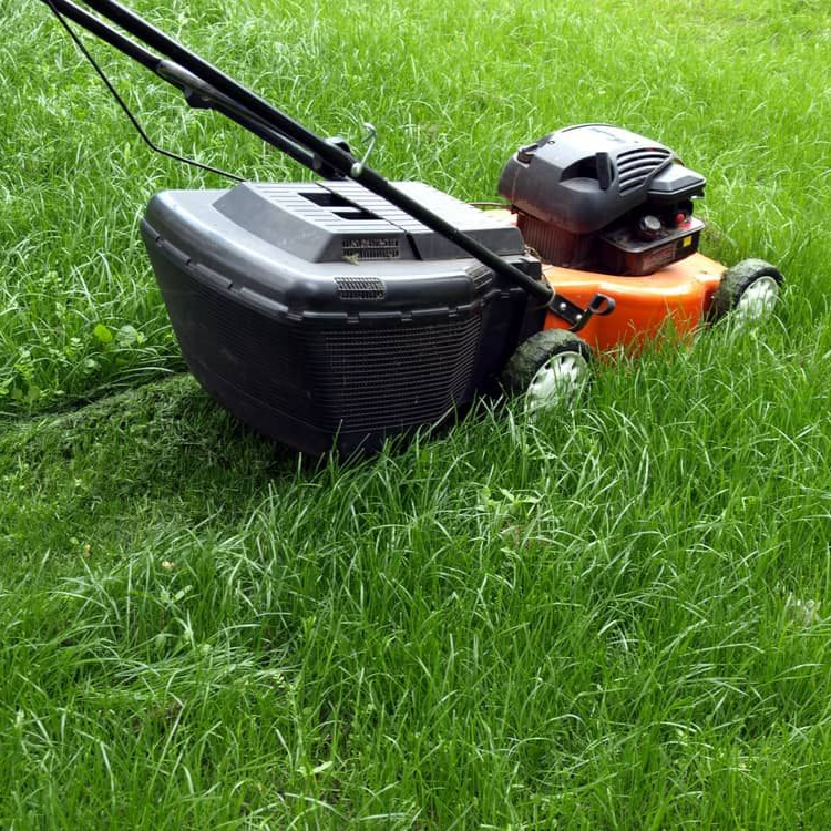 A Lawn Mower — Mow & Mulch Lawn & Garden Maintenance In White Rock, QLD