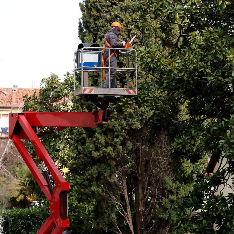 A Man on Top of a Crane Pruning Trees — Mow & Mulch Lawn & Garden Maintenance In White Rock, QLD