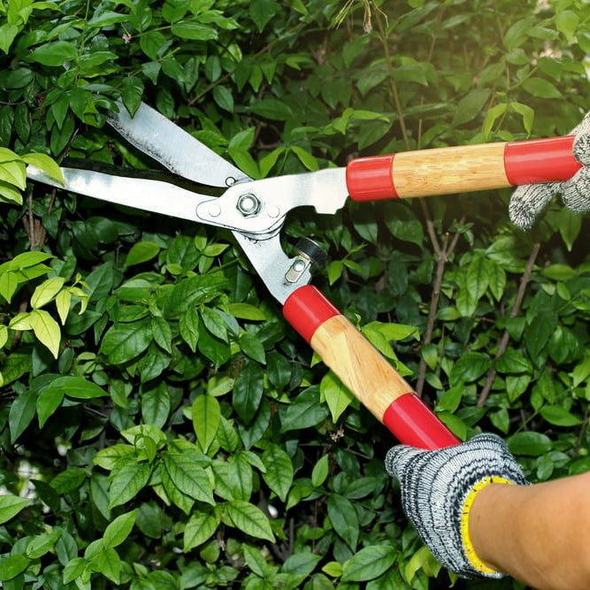 A Man Cutting Leaves — Mow & Mulch Lawn & Garden Maintenance In White Rock, QLD