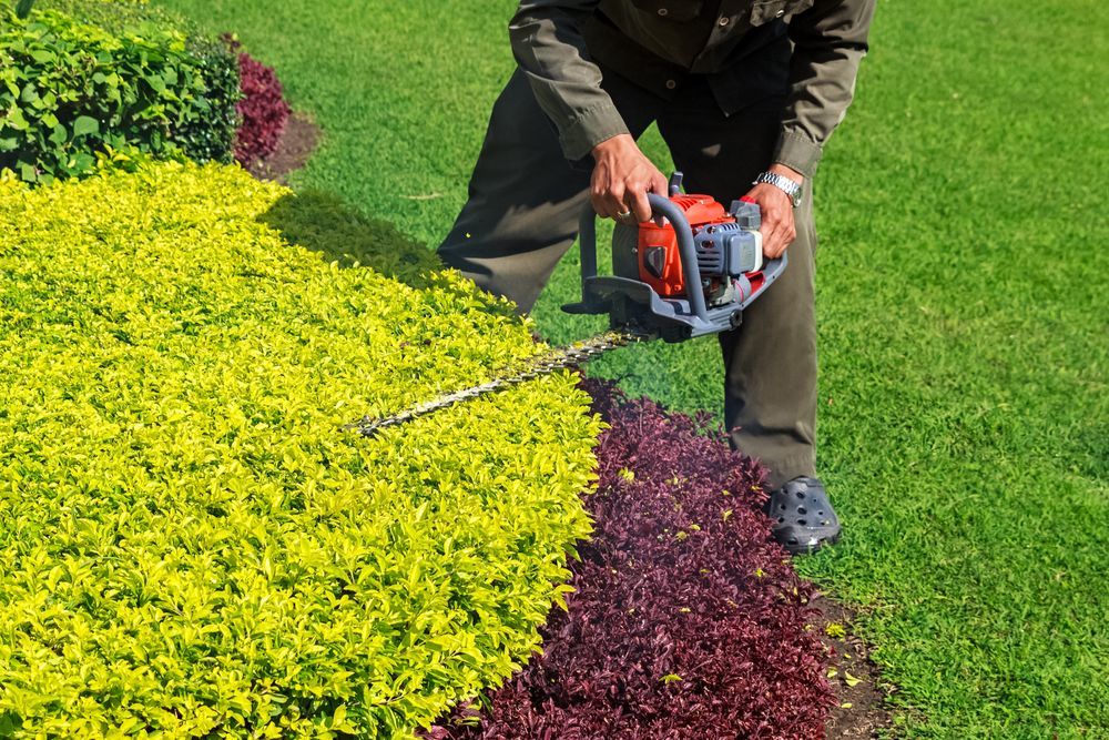 Pruning Shears Cutting a Brown Branch — Mow & Mulch Lawn & Garden Maintenance in Edmonton, QLD