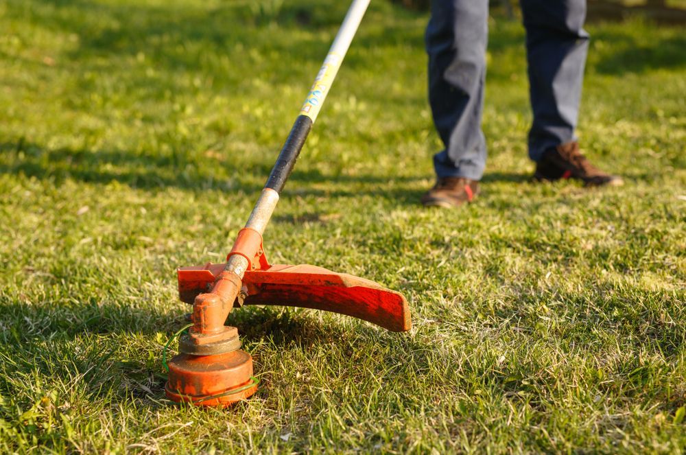 Orange Lawnmower Cutting Tall Green Grass — Mow & Mulch Lawn & Garden Maintenance in Edge Hill, QLD