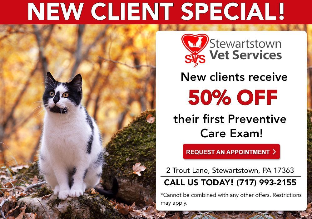 A black and white cat in a fall setting promotes 50% off preventative care exams for new clients at Stewartstown Vet