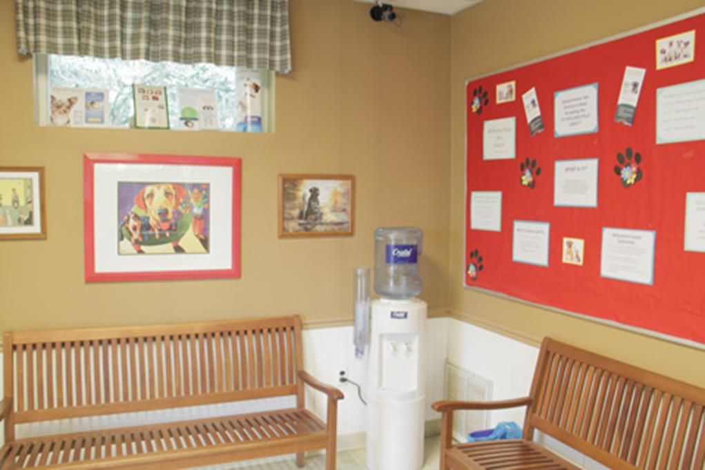 Waiting room with benches, artwork, water dispenser, and bulletin board; tan walls, window, and checkered valance.