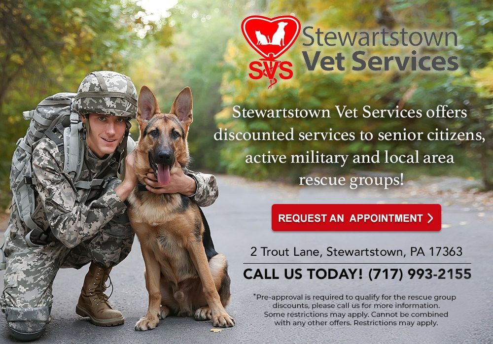 Soldier with dog promoting Stewartstown Vet Services, offering discounts to senior citizens, military, and rescue groups.