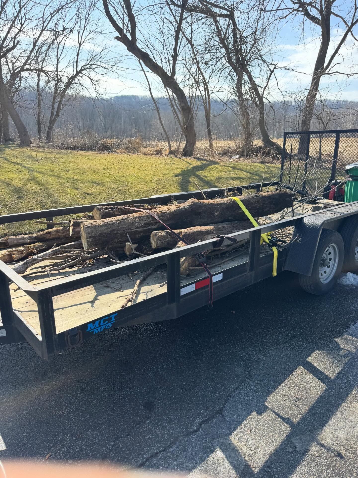 Flatbed trailer loaded with long logs, parked beside a road in a grassy field.