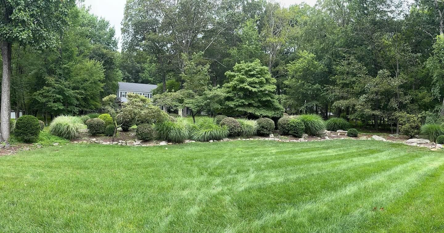 Lush green lawn bordered by shrubs and trees in a landscaped garden.