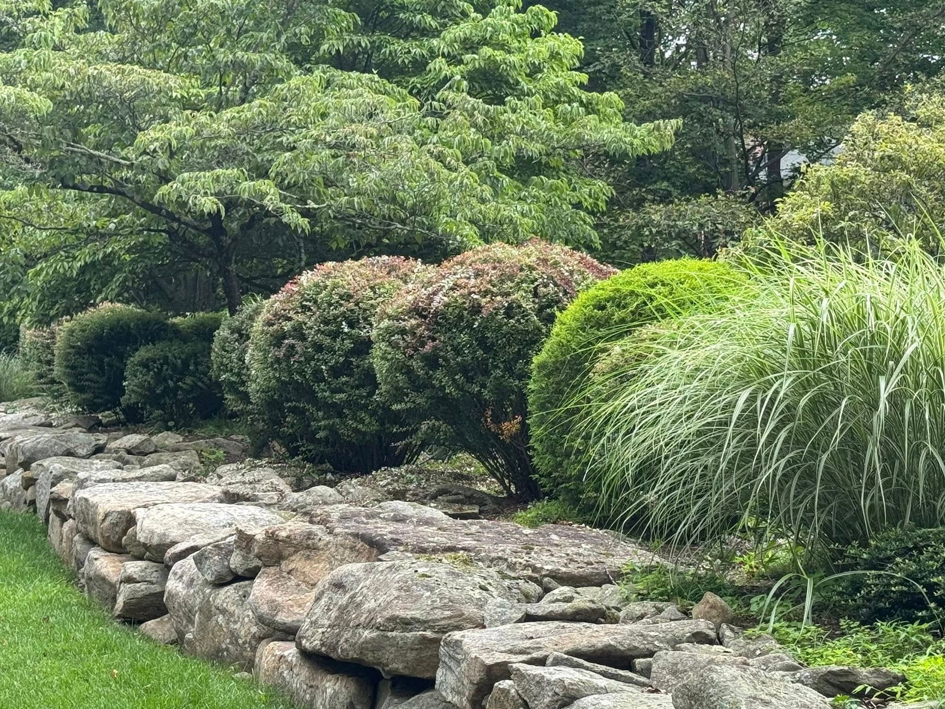 Rock garden path beside trimmed shrubs and lush green trees