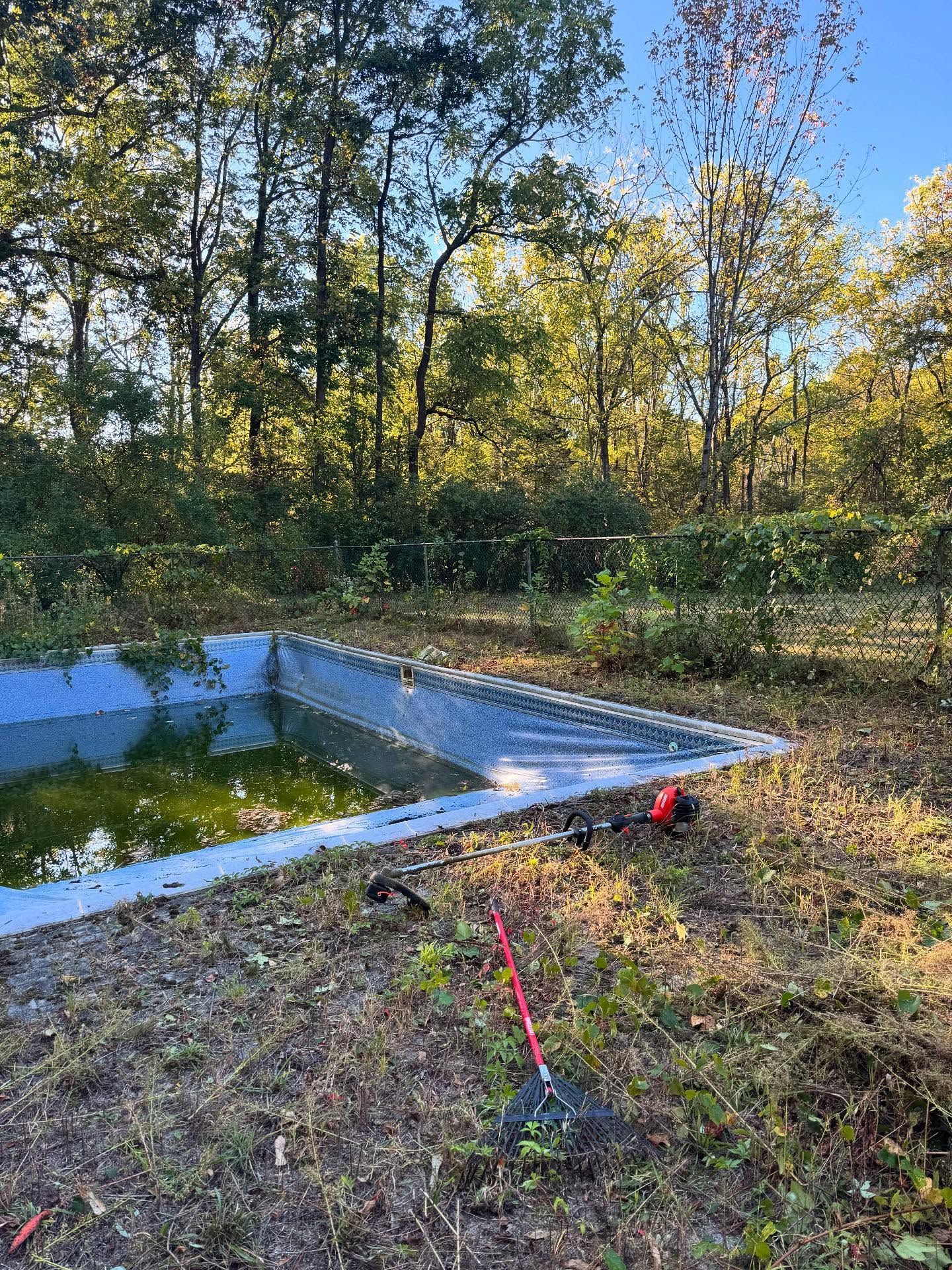Abandoned backyard pool with dirty water, fallen leaves, and gardening tools on dry grass