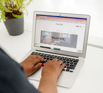 A person is typing on a laptop with a potted plant in the background