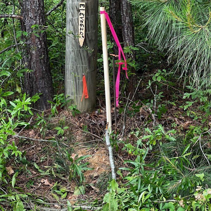 elevation marking