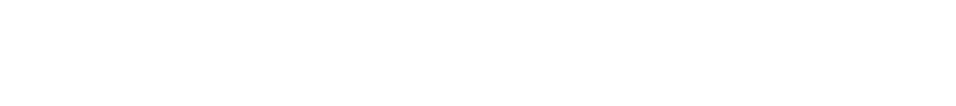 Blank white rectangle with a thin black border at the top and bottom.