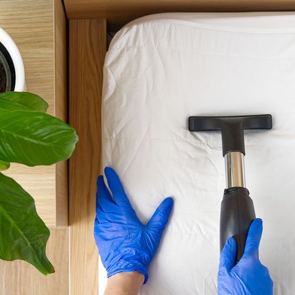 upholstery cleaning service denver