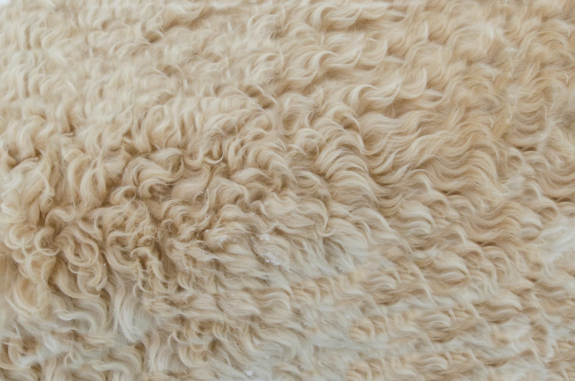 how often should you clean a rug how often should you clean a rug