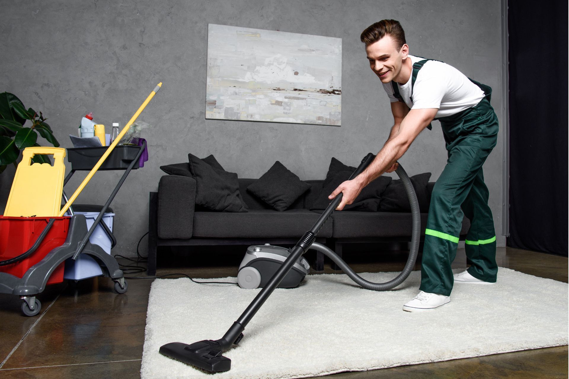 why hire a professional carpet cleaner