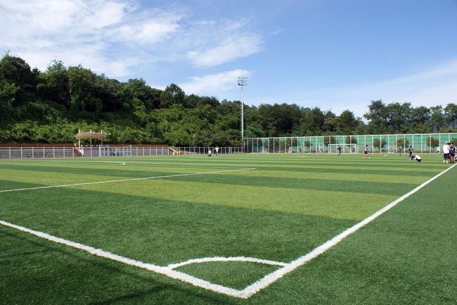 Artificial turf soccer field displaying a professional sports surface in Dunedin Florida