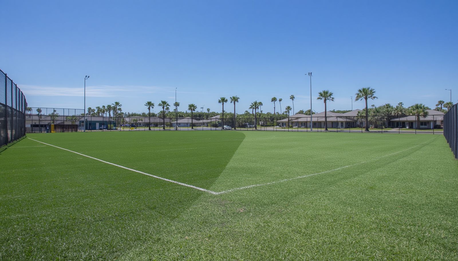 Artificial turf athletic field displaying a professional sports surface in Dunedin Florida