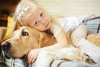 pet odor allergy removal