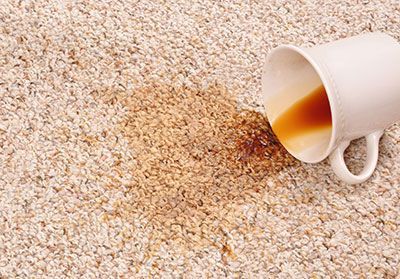 carpet protection for stains