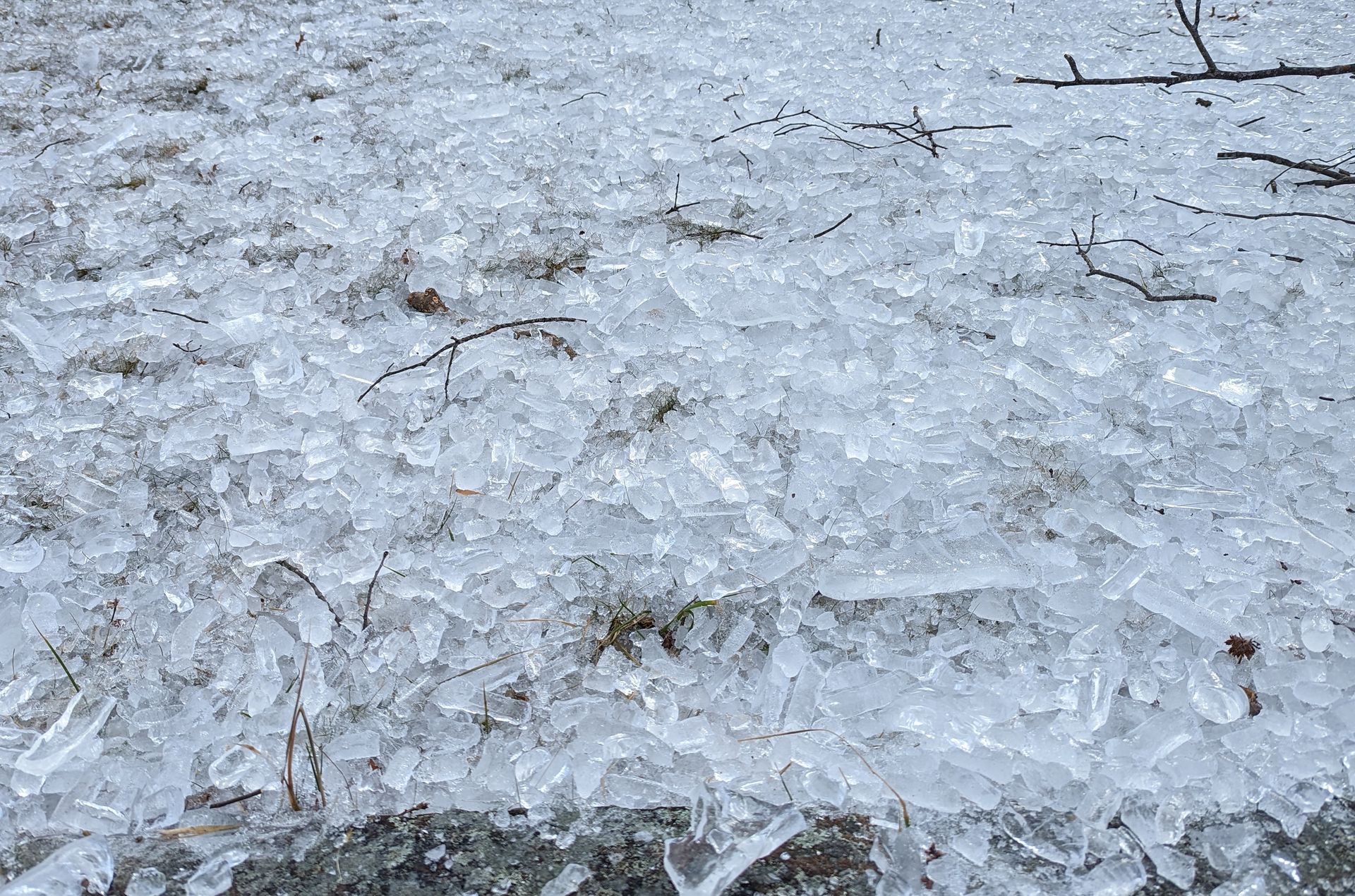 What's that Ice?