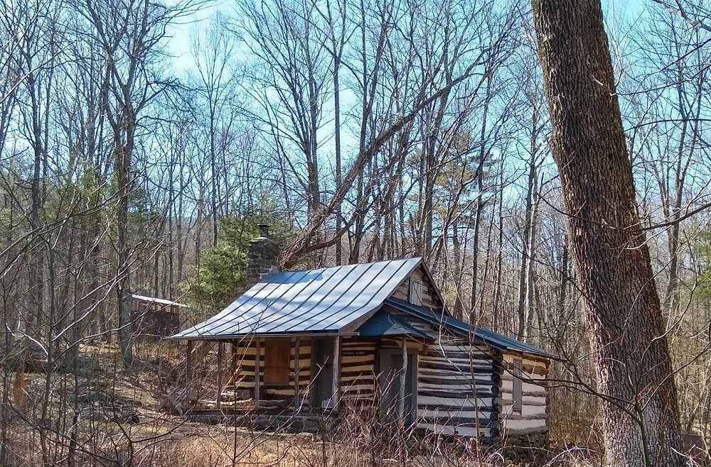 A small log cabin in the middle of a forest.