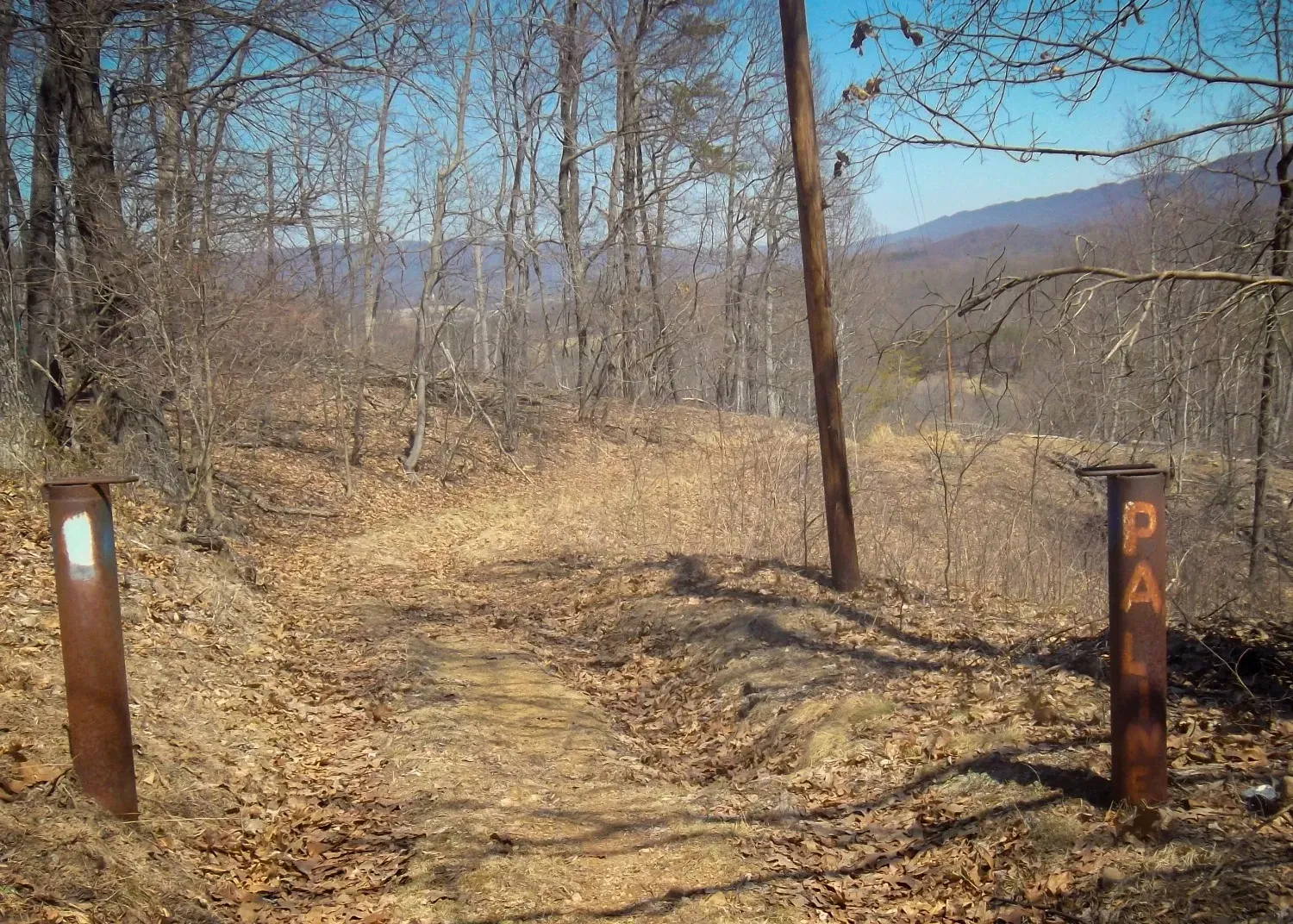 A trail in the woods with a sign that says pa on it