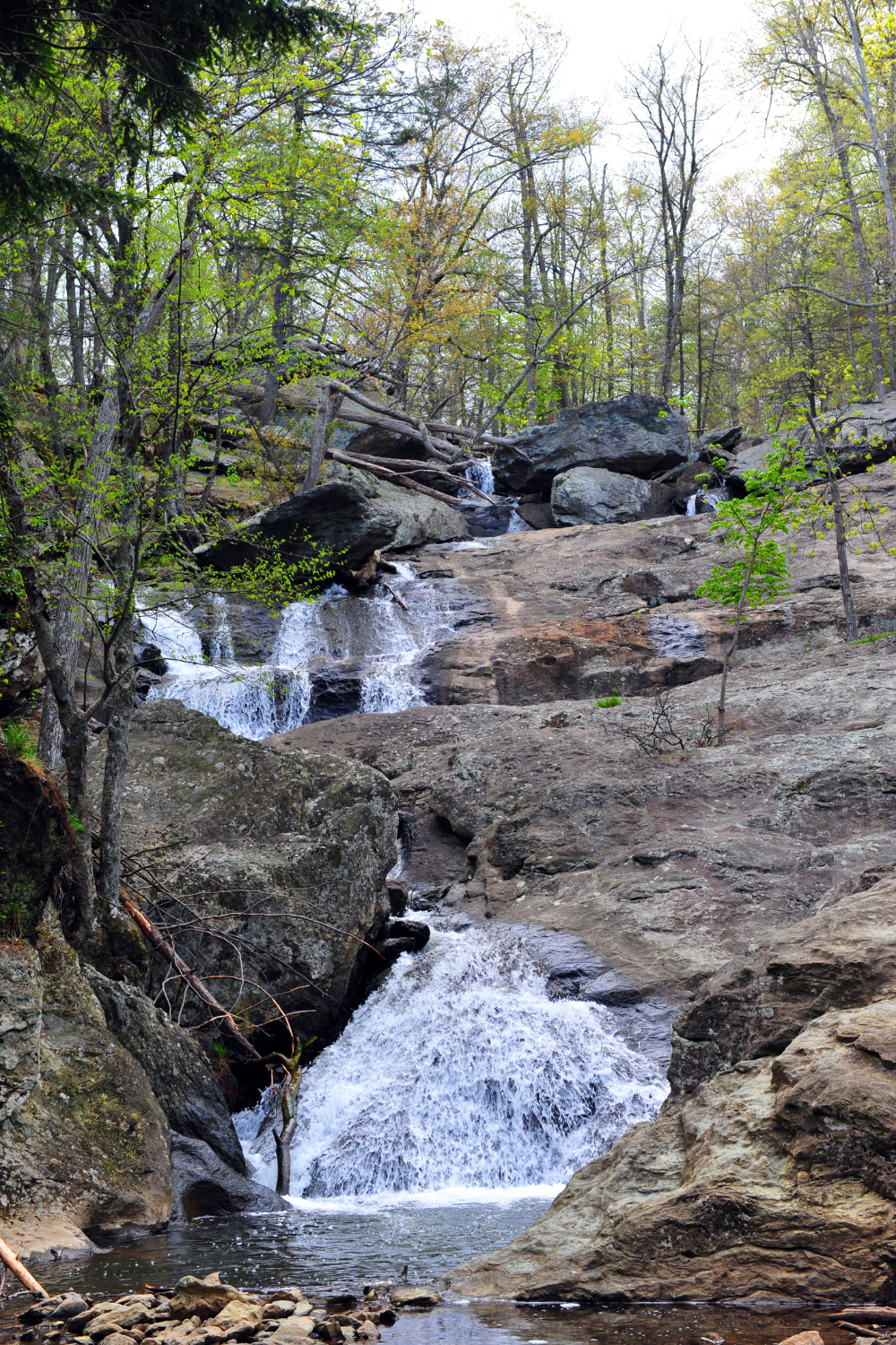 A waterfall is surrounded by rocks and trees in the middle of a forest.