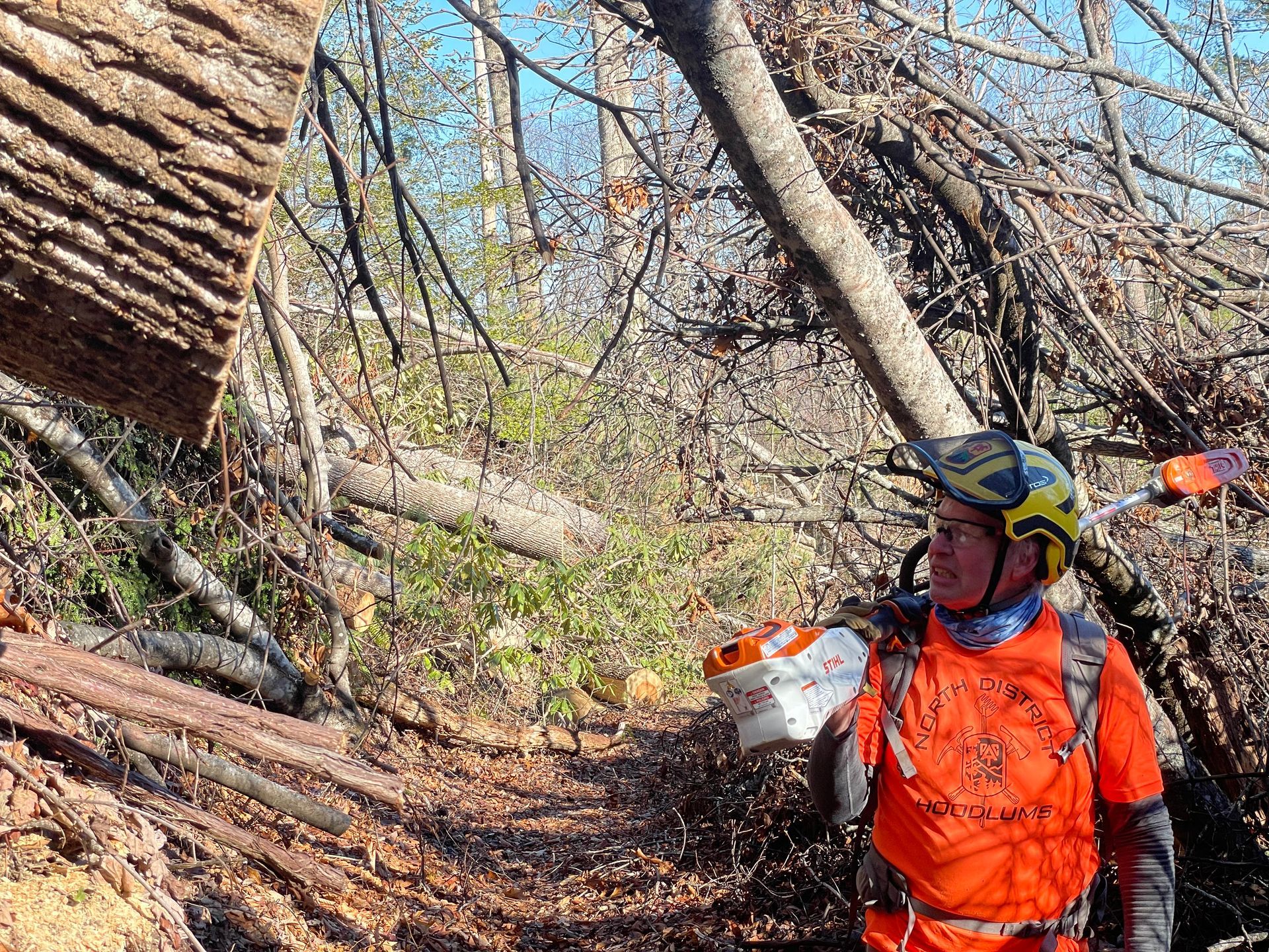 A man wearing a helmet is standing in the woods next to a pile of logs.