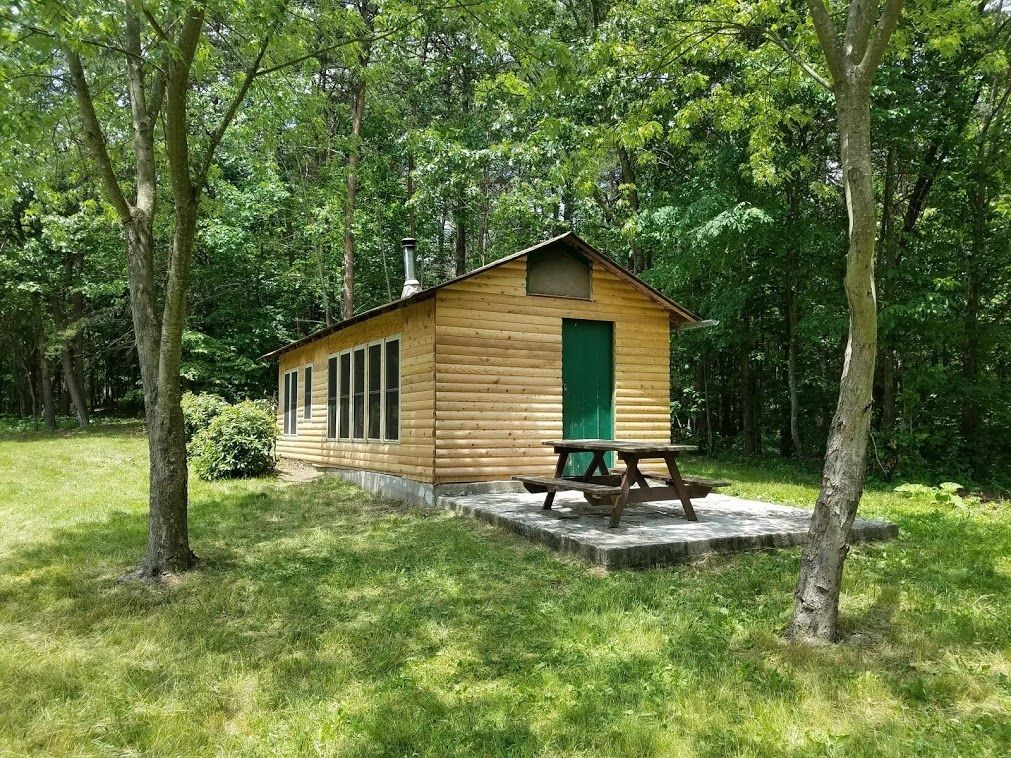 A small wooden house with a picnic table in front of it in the middle of a forest.