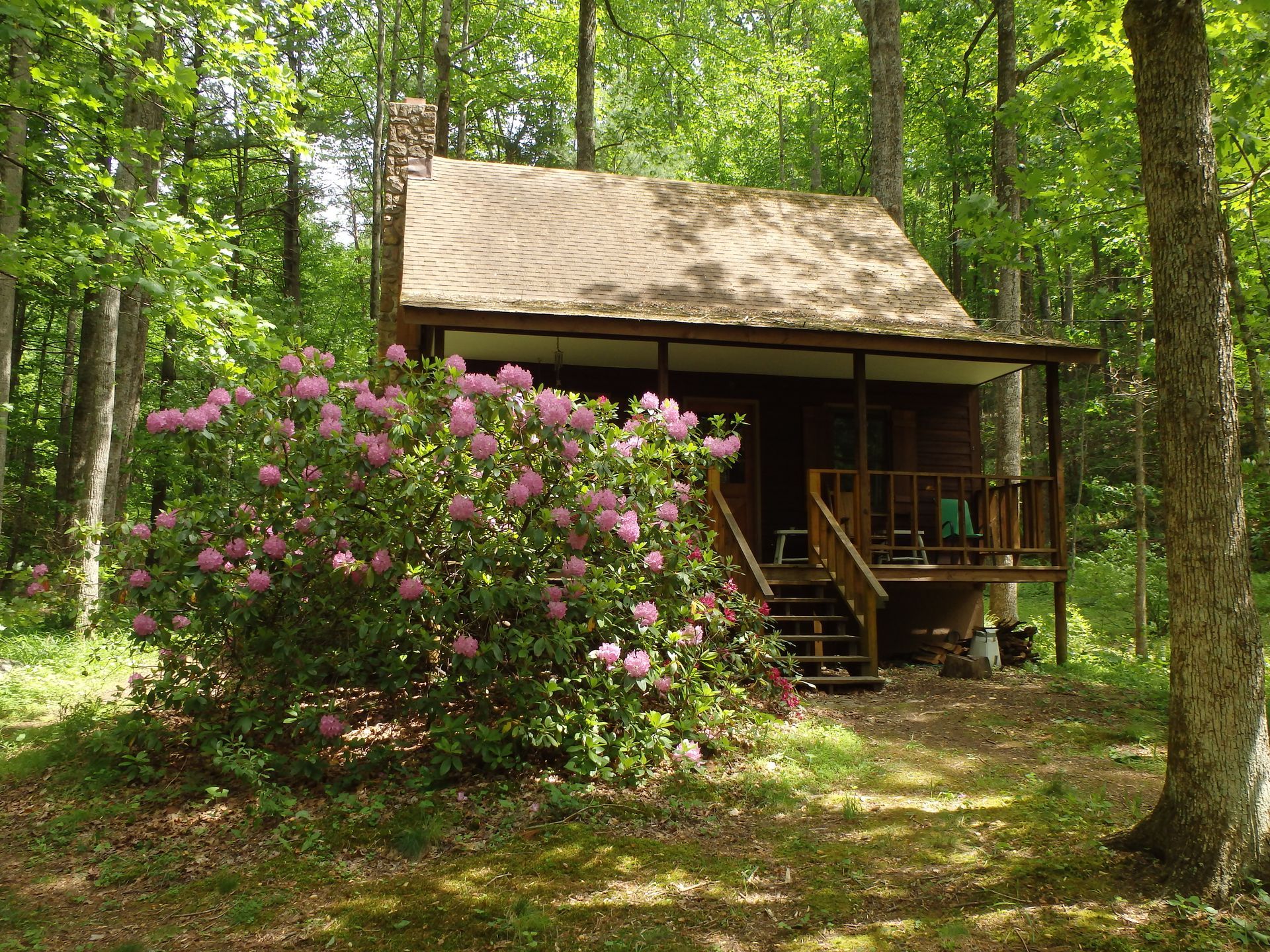 A small cabin in the middle of a forest with purple flowers in front of it.