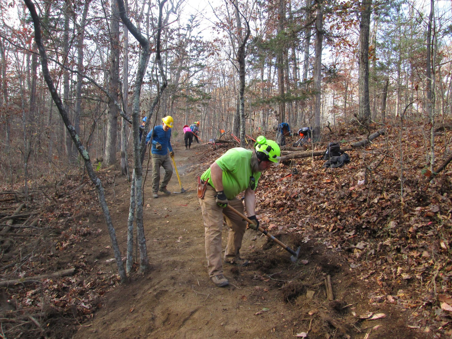 A group of people are working on a trail in the woods.