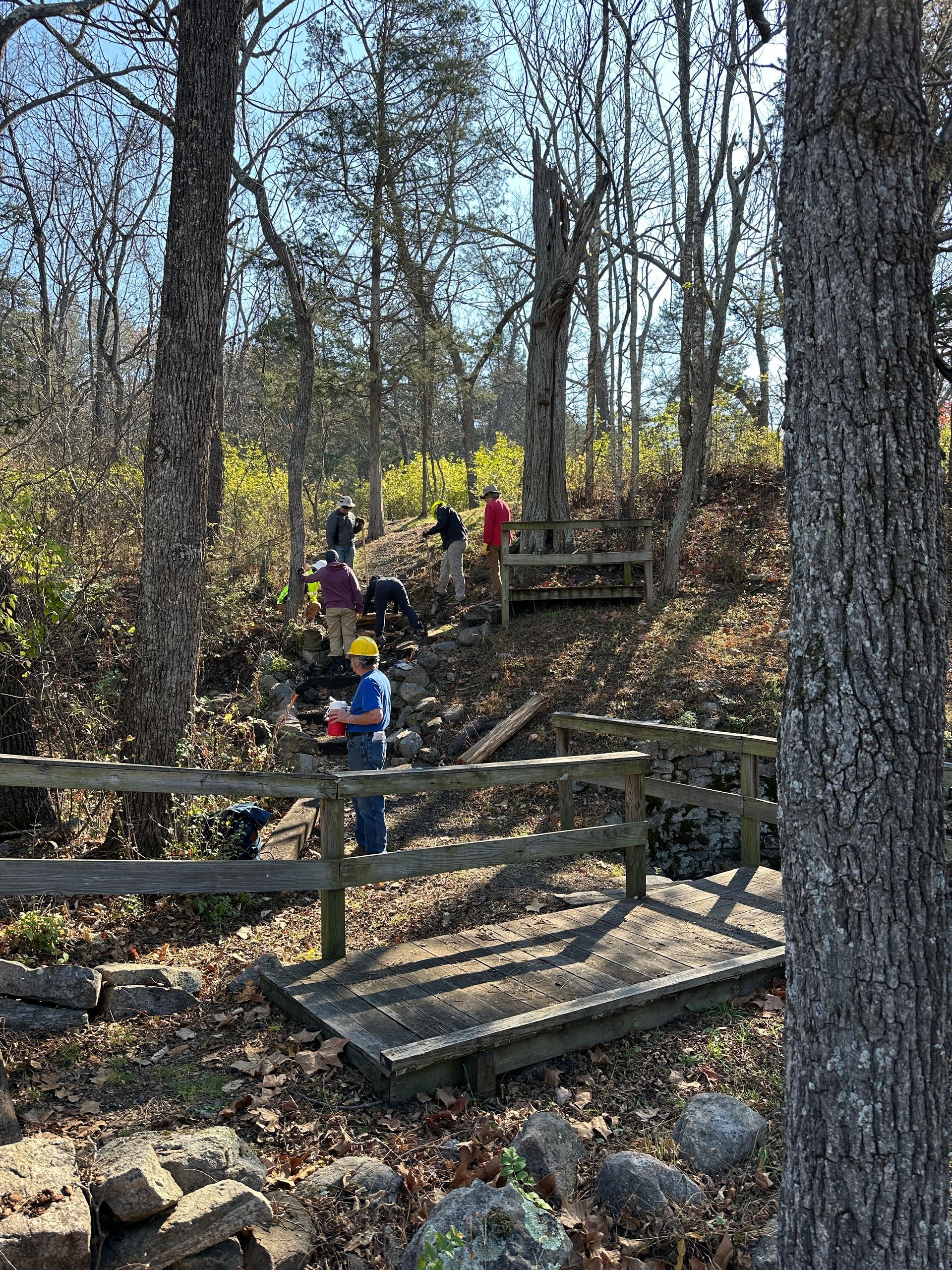 A group of people are standing next to a wooden fence in the woods.