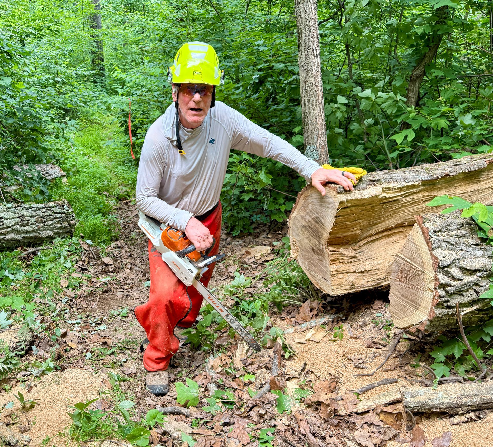 A man in a hoodie and hat is standing in the woods.