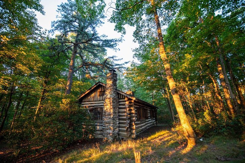 A log cabin in the middle of a forest surrounded by trees.