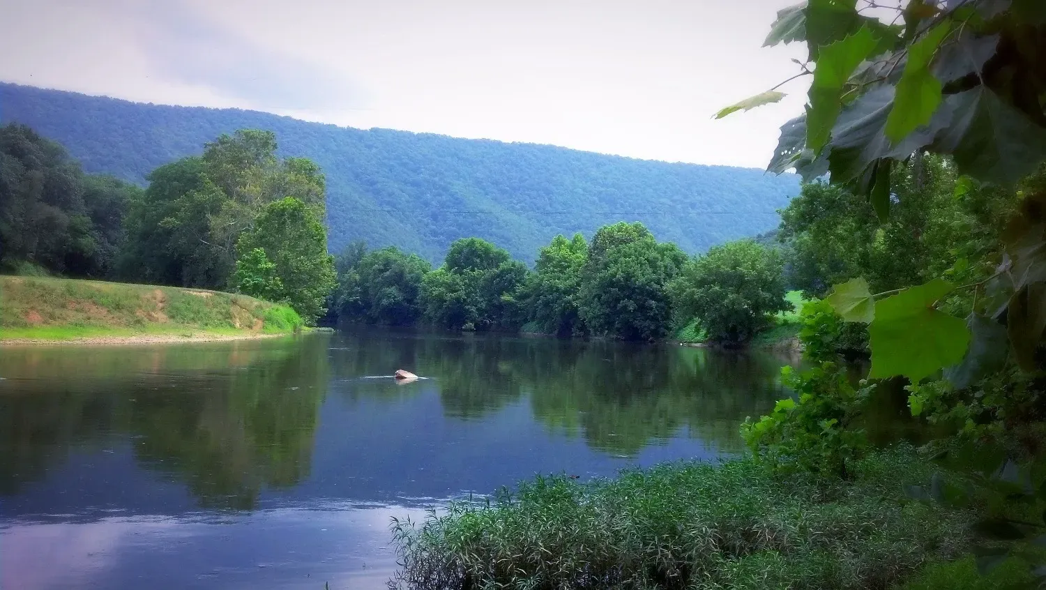 A river with mountains in the background and trees on the shore