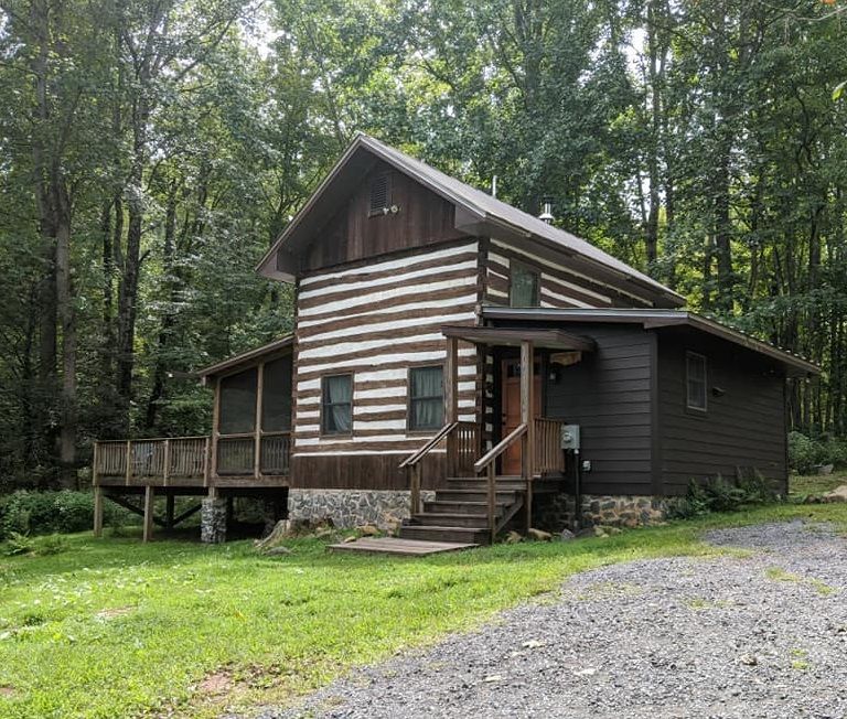 A log cabin is sitting in the middle of a lush green forest.