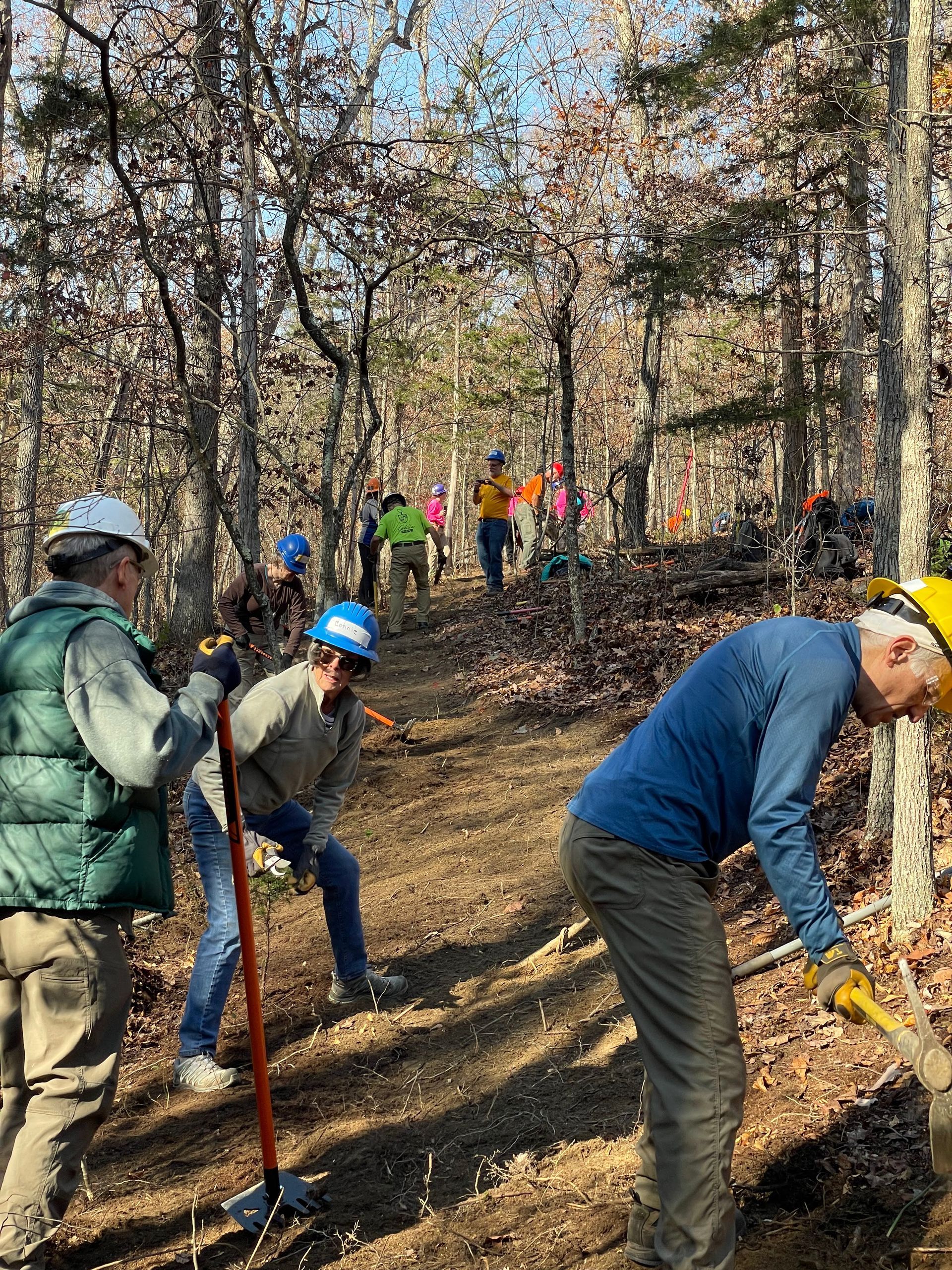A group of people are working on a trail in the woods.