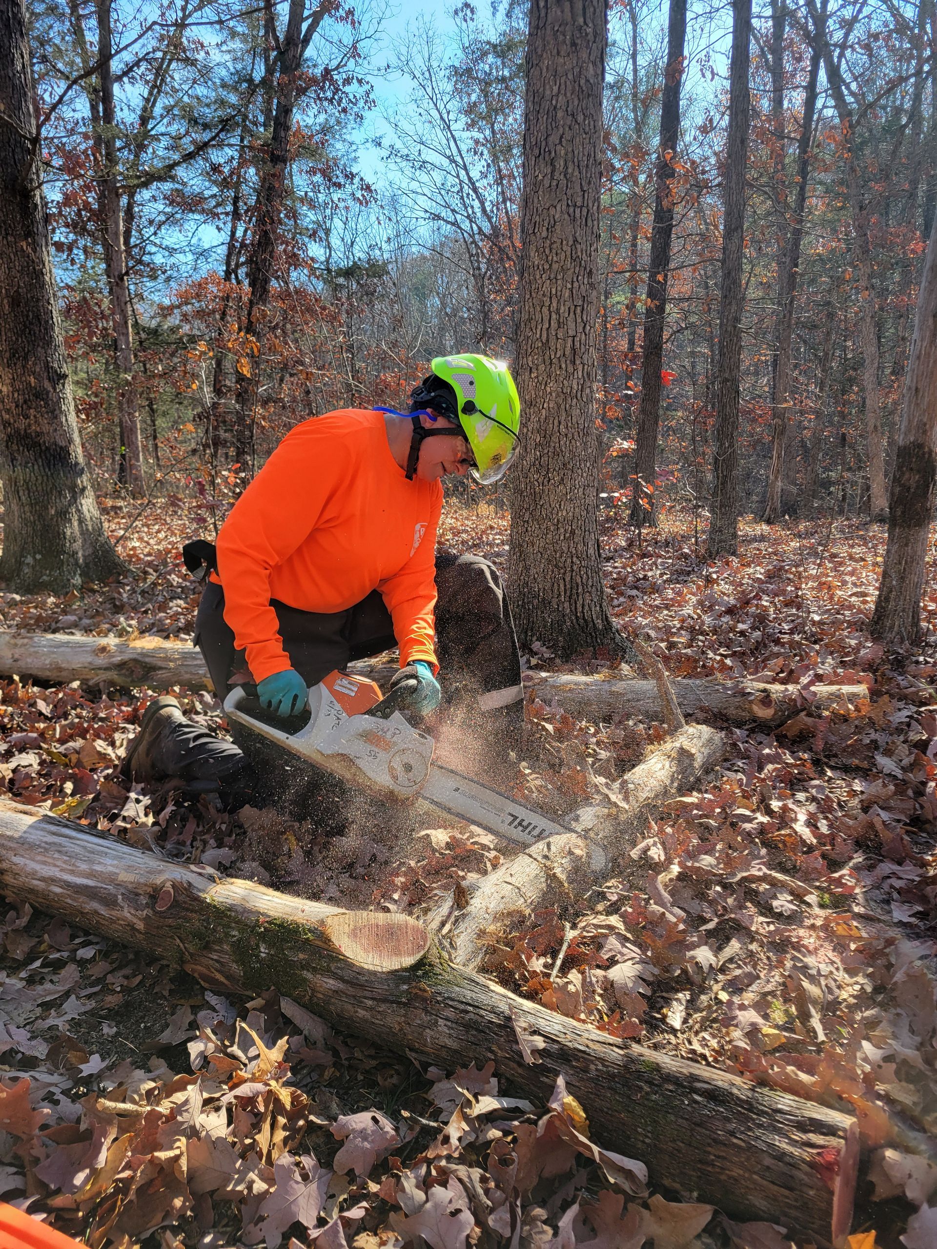 A man is cutting a tree with a chainsaw in the woods.