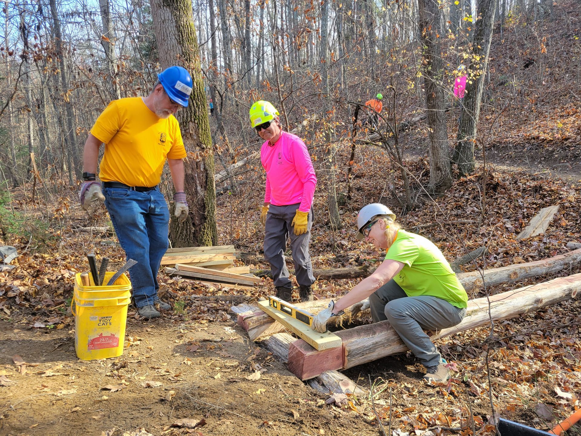 A group of people are working on a wooden structure in the woods.