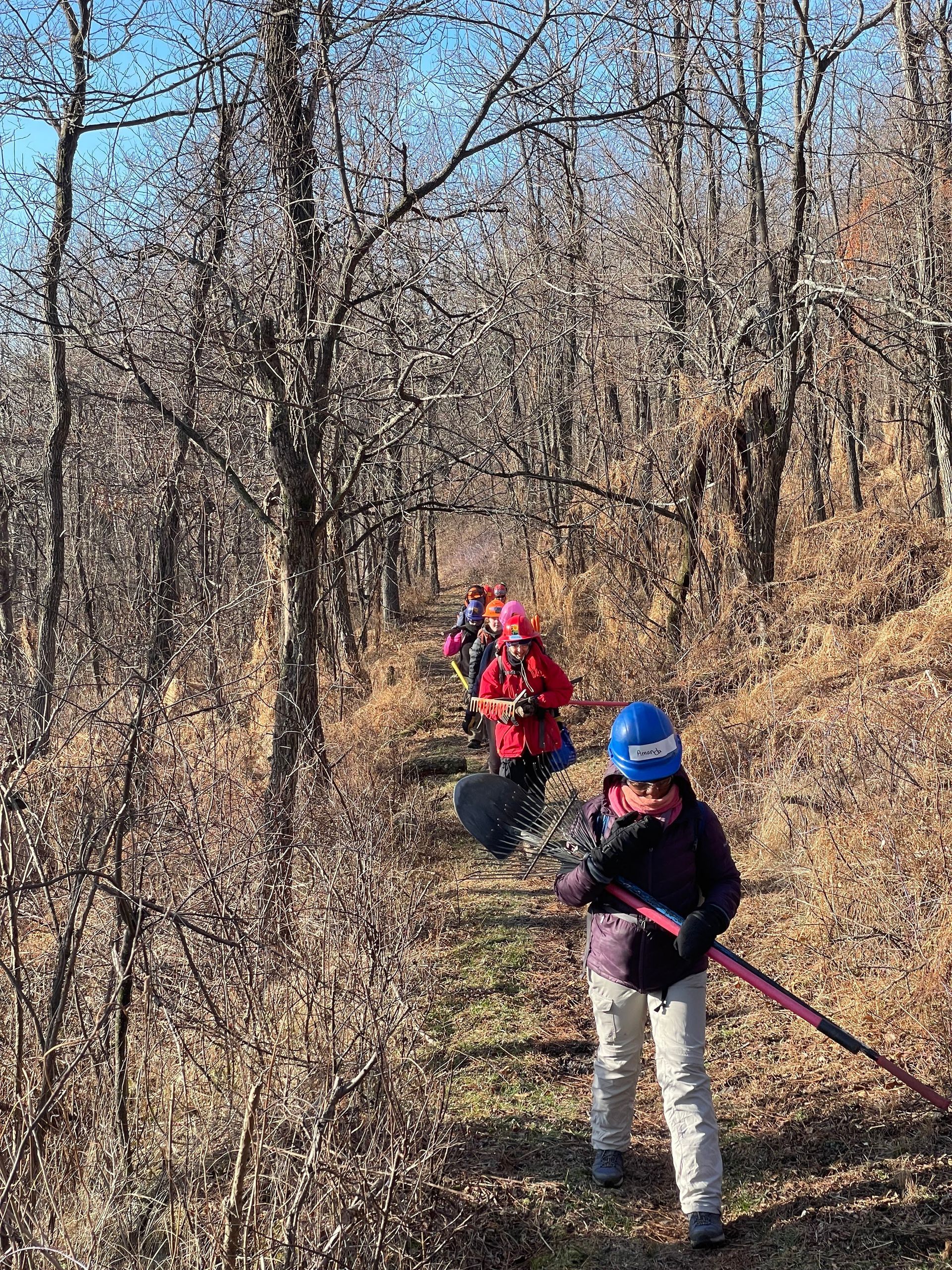 A group of people are working in the woods.