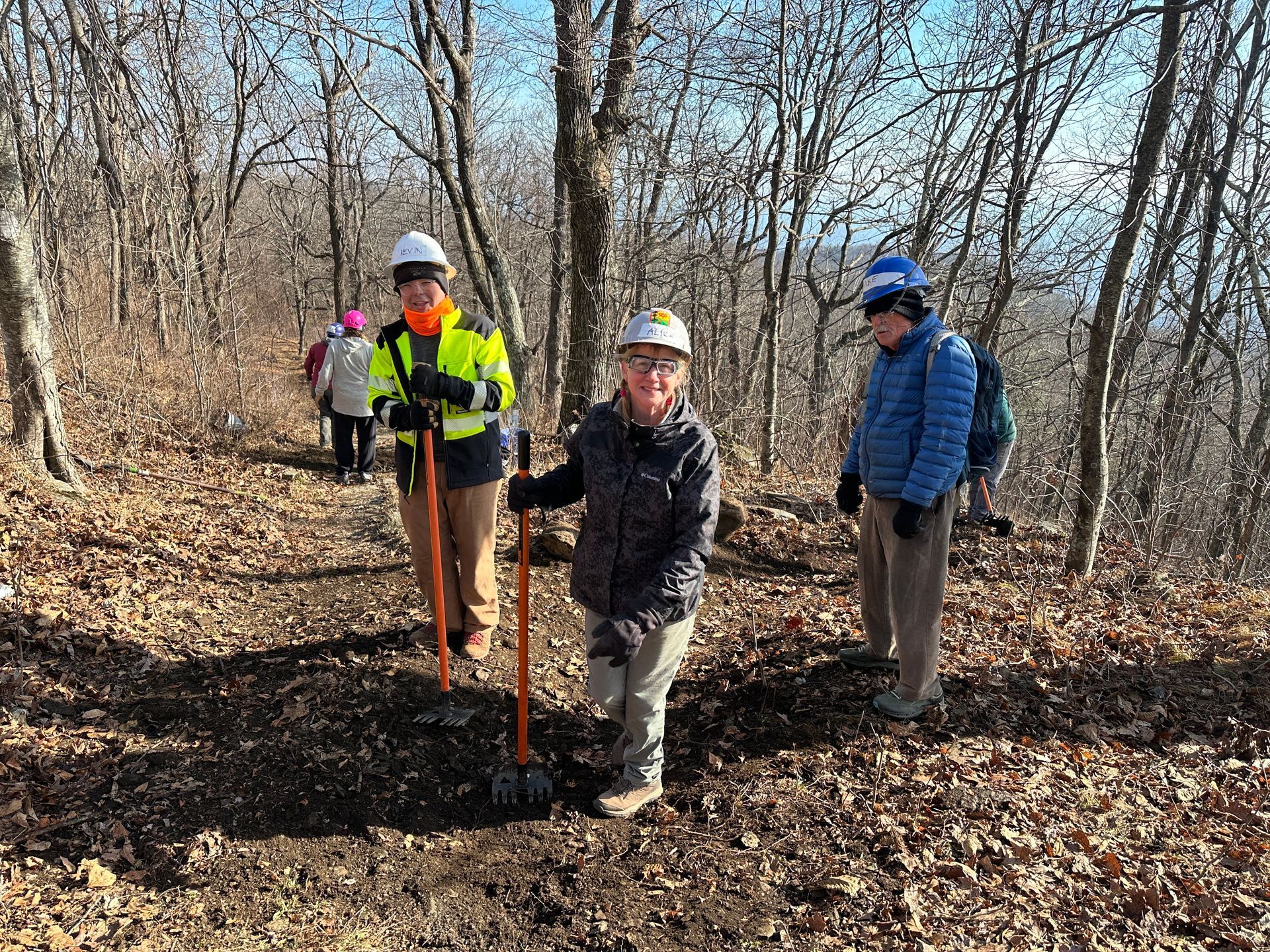 A group of people are standing in the woods with shovels.