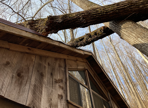 A tree branch has fallen on the roof of a house.