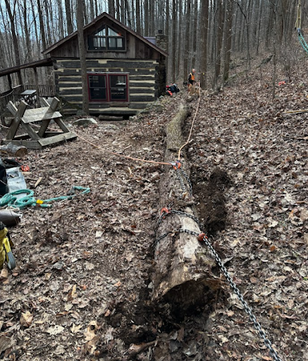 A log is being chained to a log cabin in the woods.