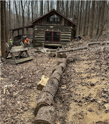 A log cabin in the woods with a lot of logs in front of it.